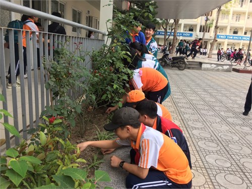 THCS Sài Đồng – một ngôi trường “Sáng - xanh - sạch - đẹp- nở hoa”